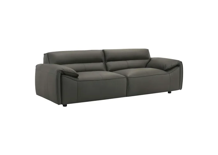Buxton Top Grain Leather Upholstered Sofa Graphite