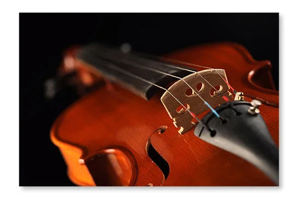 Close Up Shot Of A Violin, Shallow Deep Of Field 24×36 Wall Art Frame And Fabric Panel| Close Up Shot Of A Violin, Shallow Deep Of Field 24 po x 36 po : Cadre d’art mural et panneau de tissu|D44G9VC4