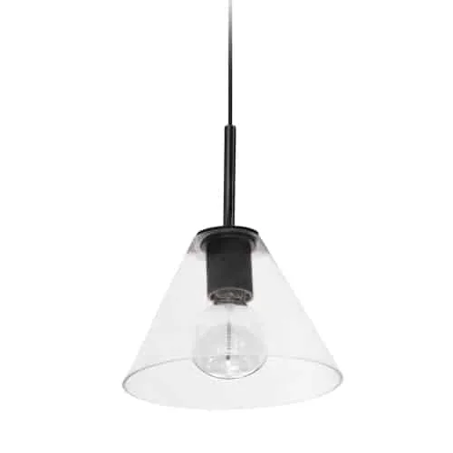 Dainolite Roswell 1 Light Pendant Large Matte Black Clear Glass Lamp|Grand luminaire suspendu Roswell de Dainolite en verre transparent, avec fini noir mat et 1 ampoule