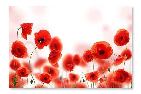 Poppy Field 24×36 Wall Art Frame And Fabric Panel| Poppy Field 24 po x 36 po : Cadre d’art mural et panneau de tissu|D44GGFQW